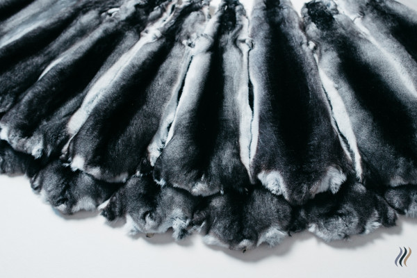 Выращивание шиншил и производство шиншиллового меха